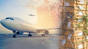 pia cargo feat