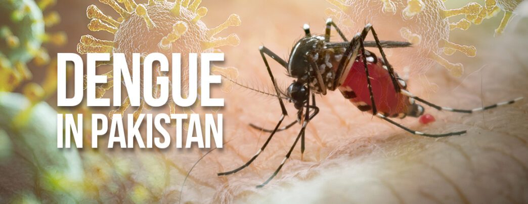 Dengue Fever