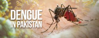 Dengue Fever