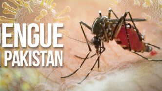 Dengue Fever