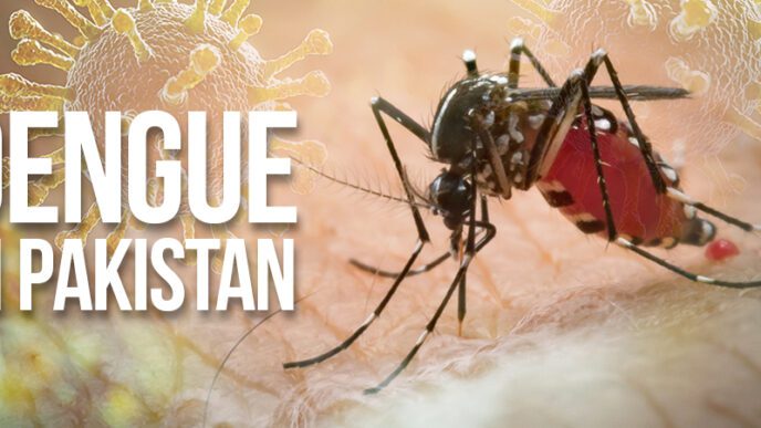 Dengue Fever