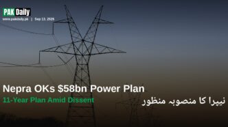 Nepra power transmission