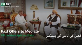 PM Shehbaz Sharif meets JUI-F chief Maulana Fazlur Rehman as both sides discuss political mediation